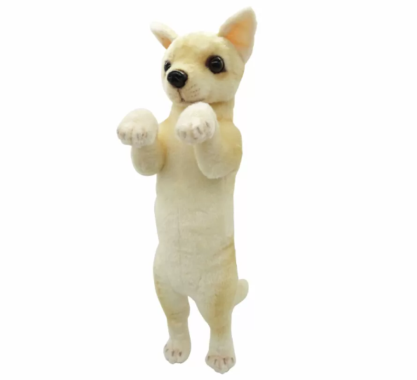 Chihuahua - Standing ZOO Dog Lead Inc.